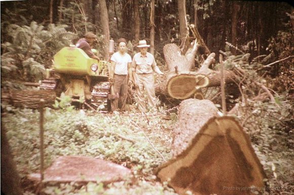 Hoke, Sawmill 013