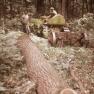 Hoke, Sawmill 014