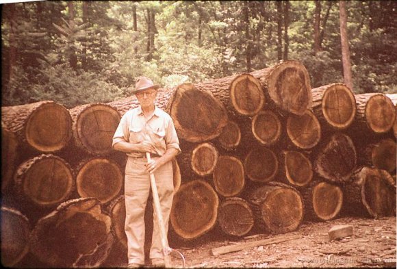 Hoke, Sawmill 015