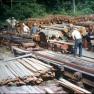 Hoke, Sawmill 018