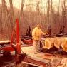 Hoke, Sawmill 024