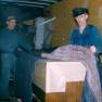 Hoke, Workers 011
