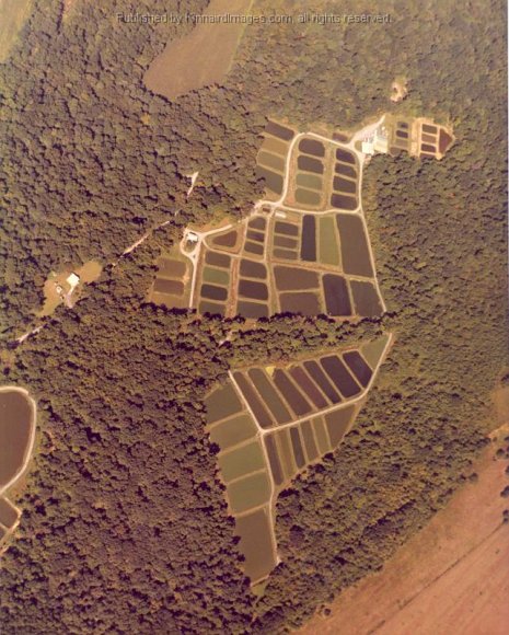 HCF Aerial View 1980's 