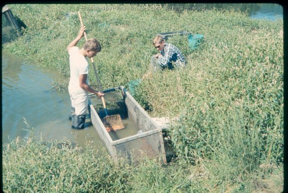 HCF Cleaning Catchbox 1968