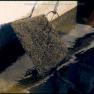 HCF Goldfish Mats with Eggs 1999