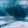 HCF Old Fish House at Furnace 1960's 002