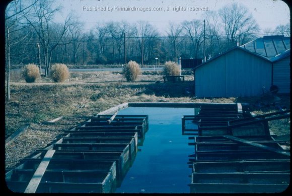 HCF Old Fish House at Furnace 1960's