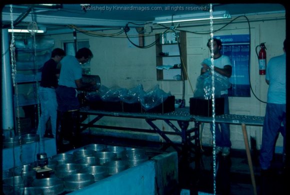HCF Packing Fish 1989
