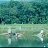 Hunting Creek Fisheries