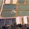 Hunting Creek 1985