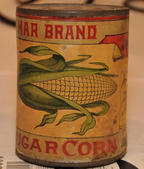 John Root & Sons 005