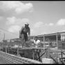 Moore Business Forms 1950 GWW 013
