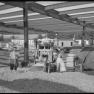 Moore Business Forms 1950 GWW 032