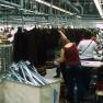 Misc_Slides_003