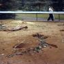 Misc_Slides_019
