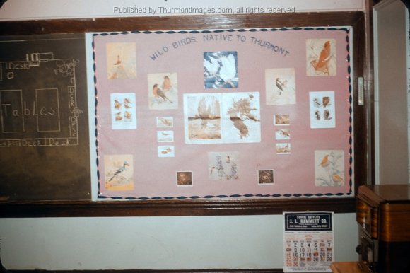 Misc_Slides_111