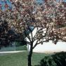 Misc_Slides_113