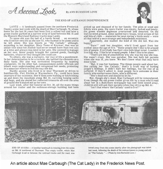 Cat Lady Story Ann Love