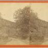 High Bridge Stereo View 002A DB