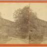 High Bridge Stereo View 002A DB