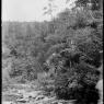 Beck Images
