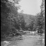 Beck Images