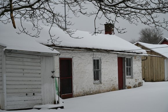 2021-02-01_JAK_0908