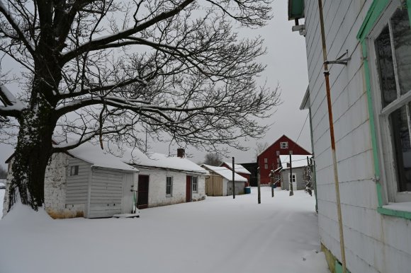 2021-02-01_JAK_0910