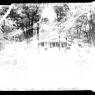 Windy Woods