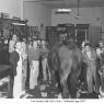 Thurmont Images H