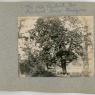 Thurmont Images M