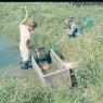 Hunting Creek Fisheries